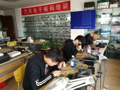 小仙女们的嫩白逼逼
